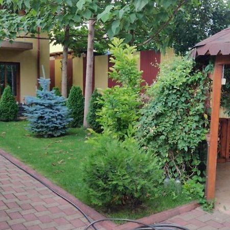 Cazare Buzau Apartment Exterior photo